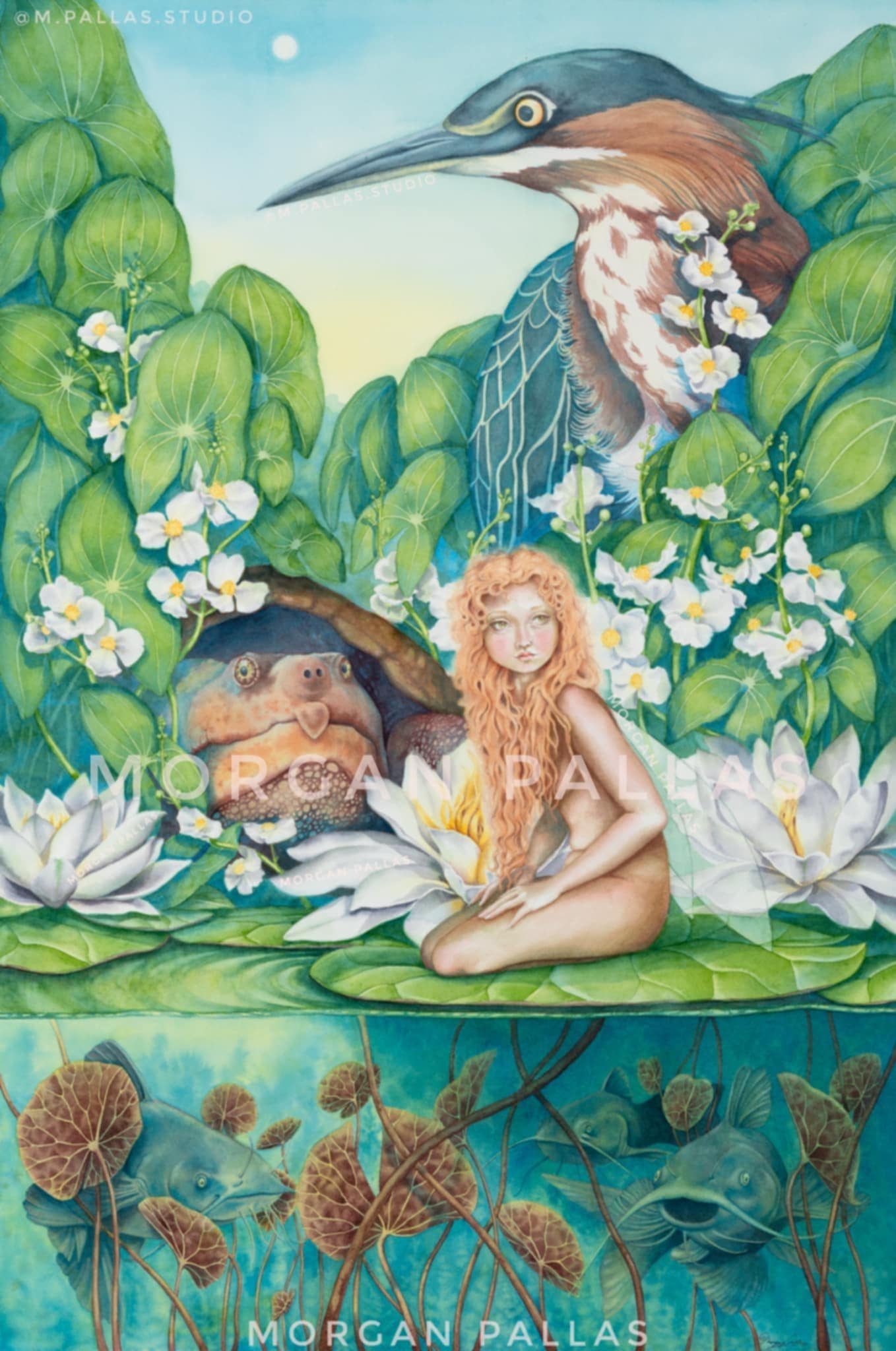 "Palustris" Limited Edition Print