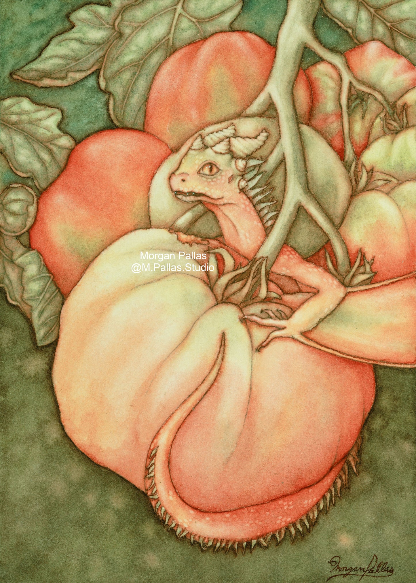 Print- Tomato Dragon