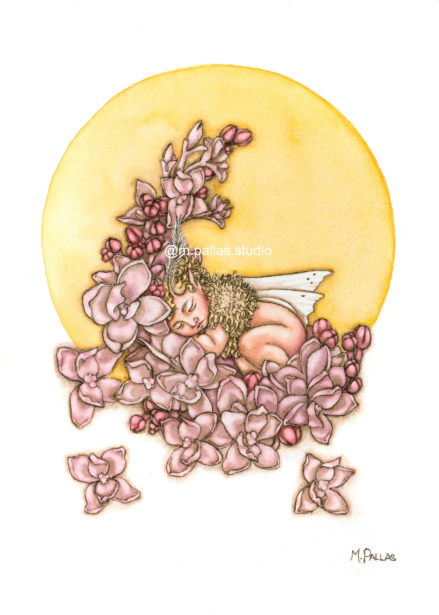 Print- Lilac Fairy-Moth