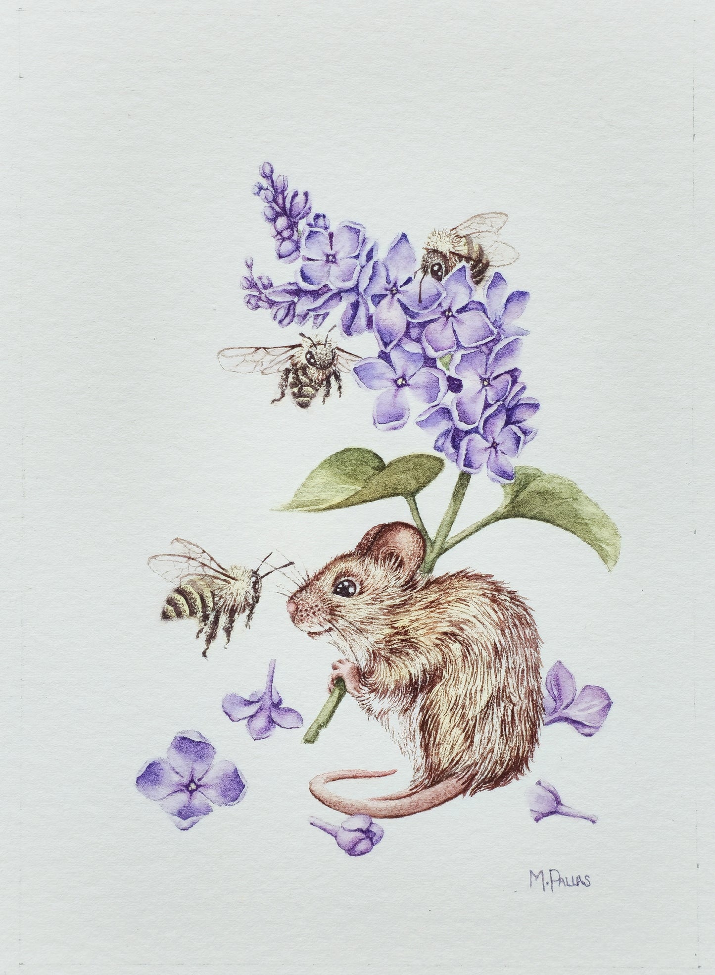 Print- Little Lilac Bearer