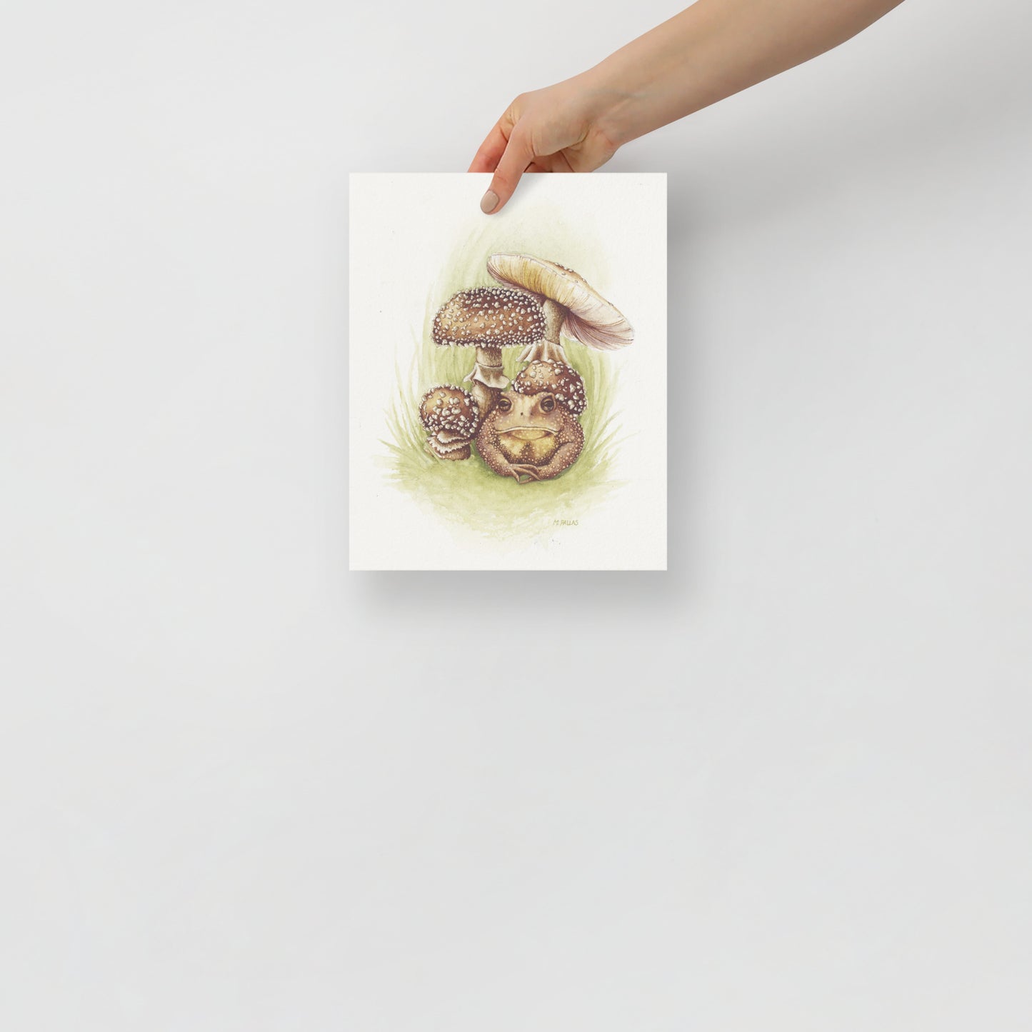 Print- Amanita pantherina with American Toad